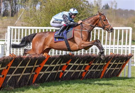 Mares' Novices' Hurdle .